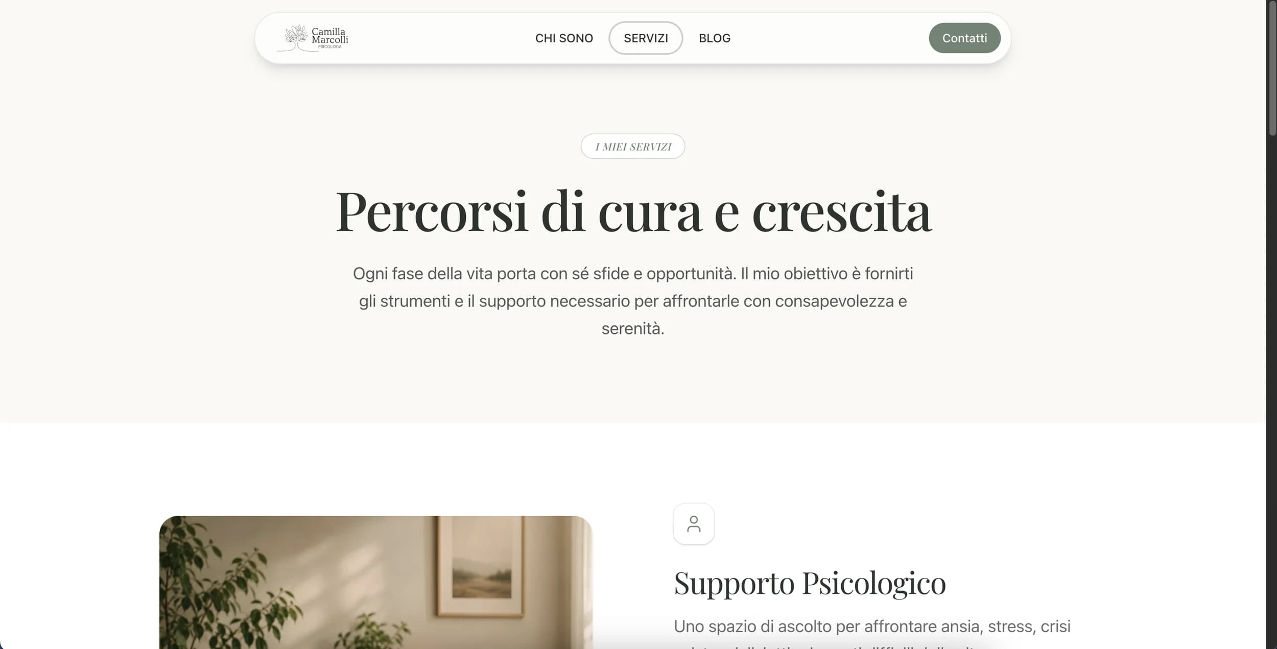 The services page gathers the paths, each one with its own dedicated page.